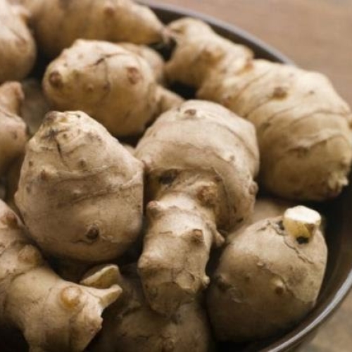Jerusalem Artichokes