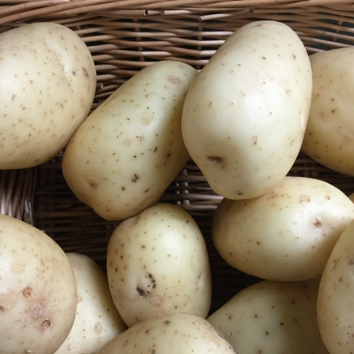 Baking Potatoes
