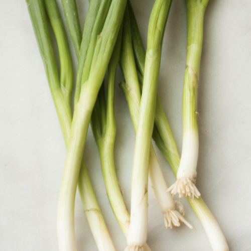 Spring Onions