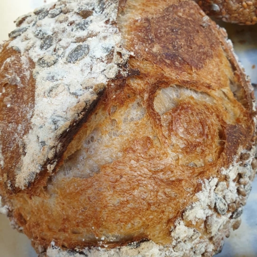 CornishSourdoughBakery - Seeded Traditional White Sourdough