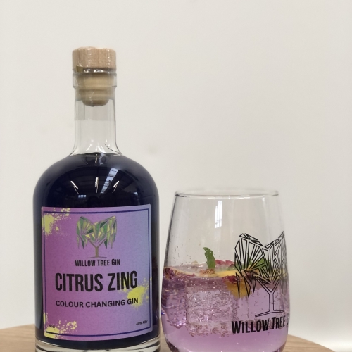 Citrus Zing Colour Changing Gin
