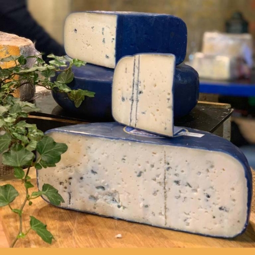 Ribblesdale Blue Goat