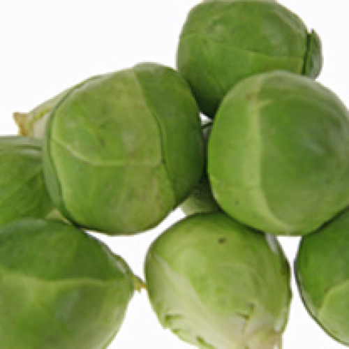 BRUSSEL SPROUTS