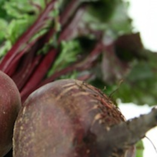 BEETROOT /T