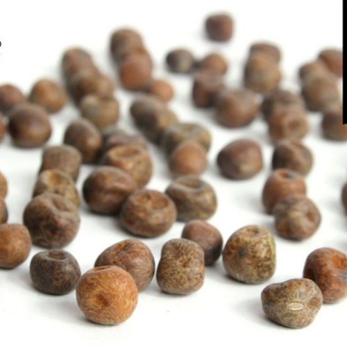 HODMEDOD’S Carlin Peas, Black Badger, Organic