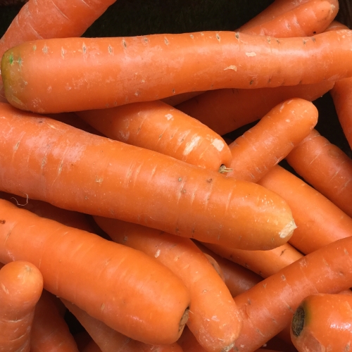 Carrots