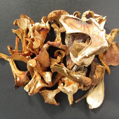 Wild harvested dried mushrooms /b