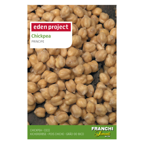 Chickpea Plant