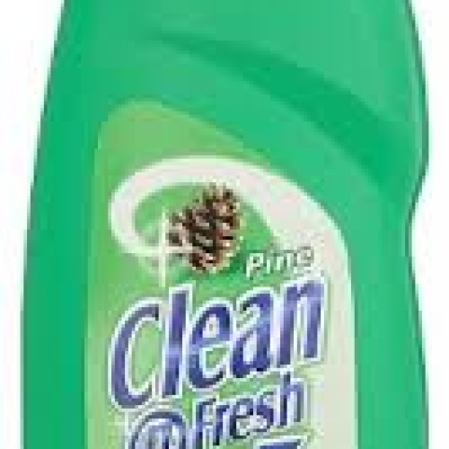 Clean & Fresh toilet cleaner /w