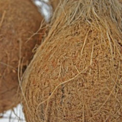 COCONUT /T