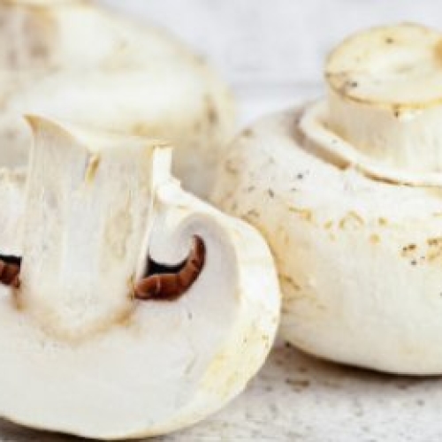 cup mushrooms