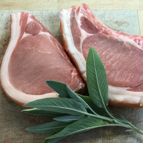 Pork Chop