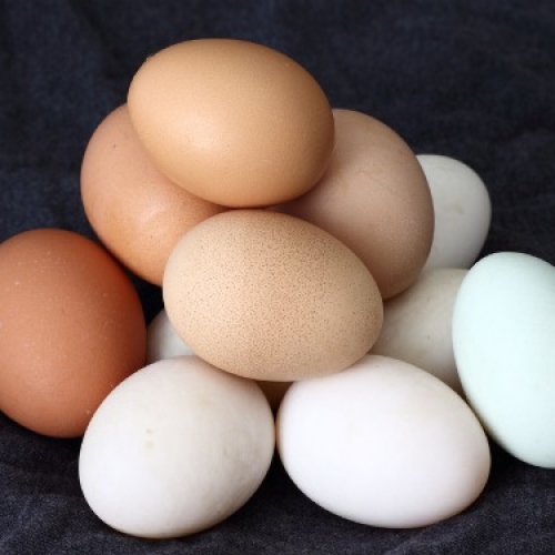 Eggs