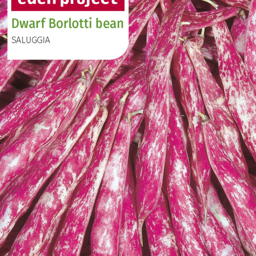 Franchi - Eden Project Borlotto Bean of Saluggia *Endangered variety*