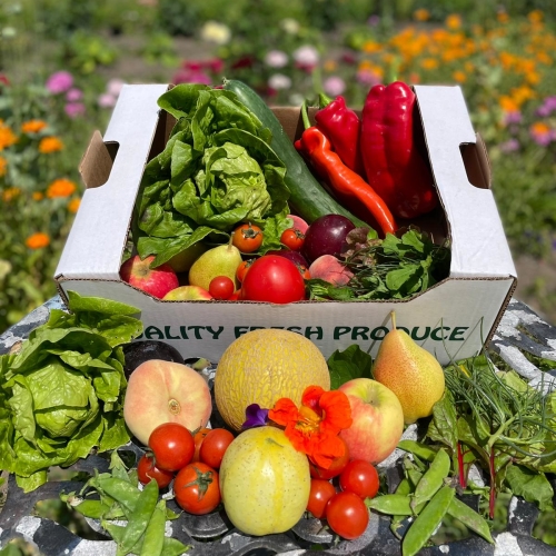 Fruit & Salad Box