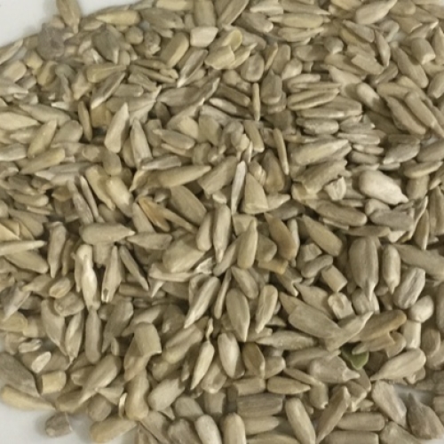 Sunflower seeds