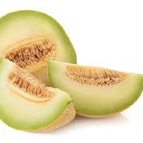 Galia melon /t/m