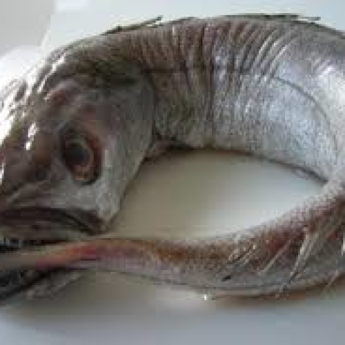 HAKE