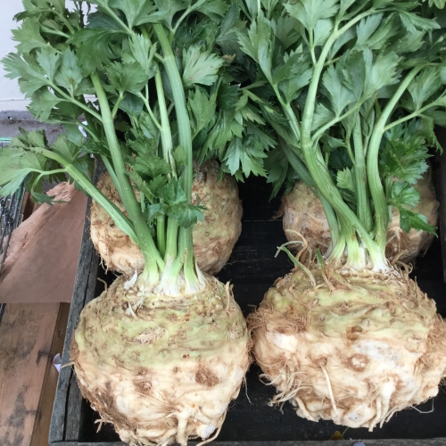Celeriac