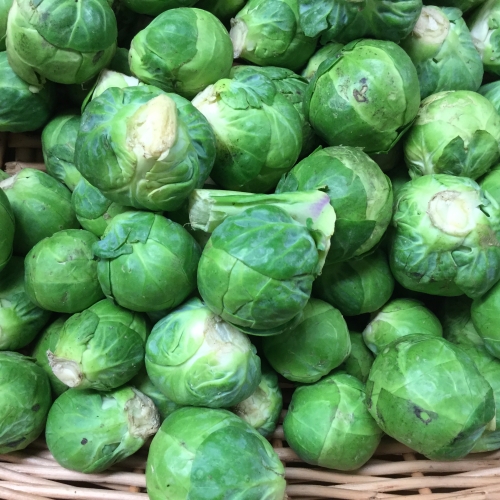 Loose Sprouts