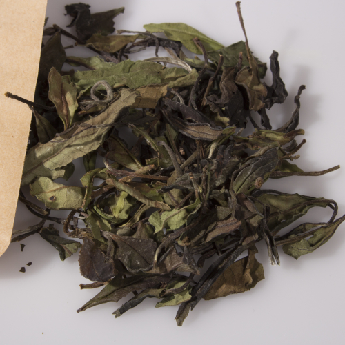 Organic White Tea