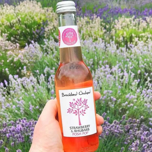 Posh Pop Summer Collection by Breckland Orchard