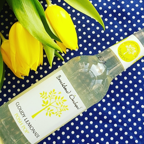 Cloudy Lemonade Posh Pop by Breckland Orchard