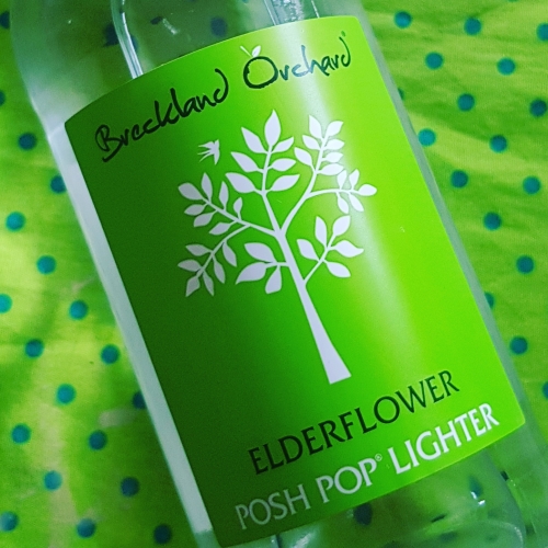 Zero Sugar Elderflower Posh Pop Lighter by Breckland Orchard
