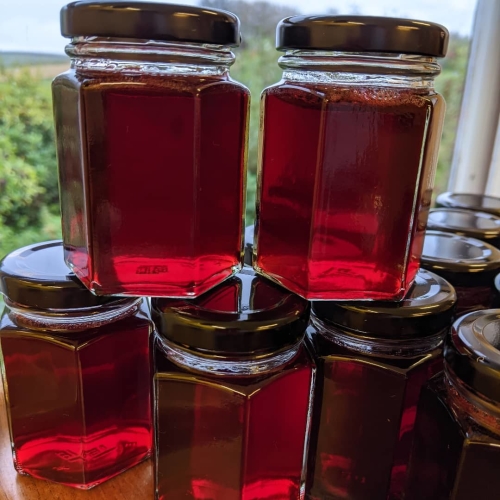 Redcurrant Jelly 110g