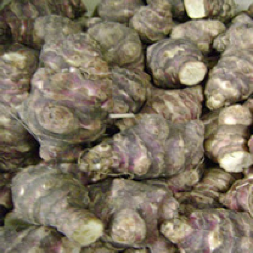 JERUSALEM ARTICHOKES