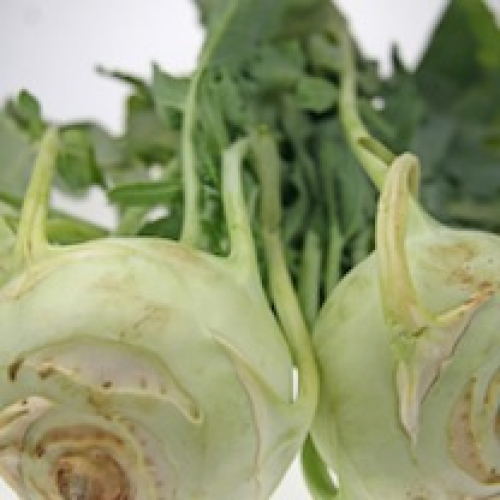 KOHLRABI /T