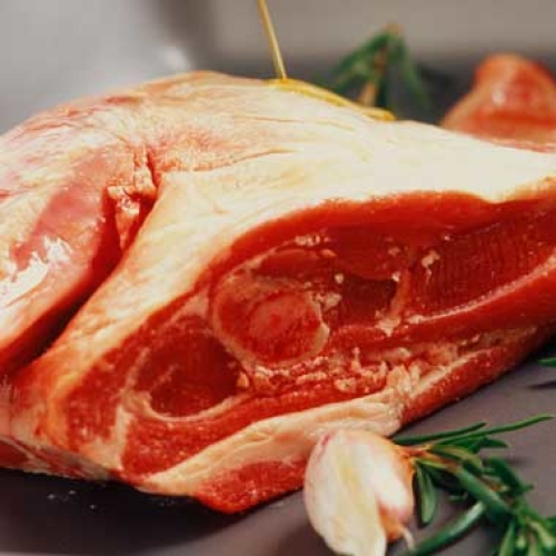 Lamb