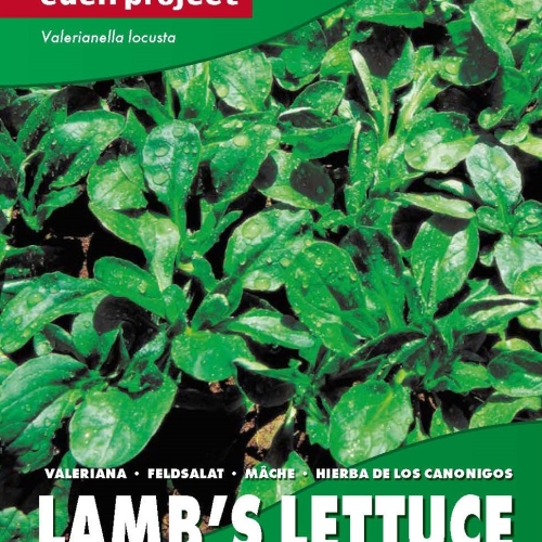Franchi - Lambs Lettuce