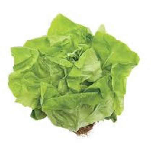 Lettuce Cornwall