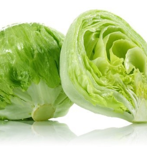 Iceburg Lettuce