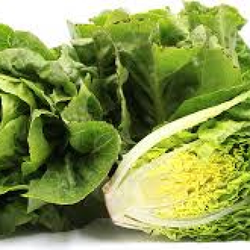 Little Gems lettuce