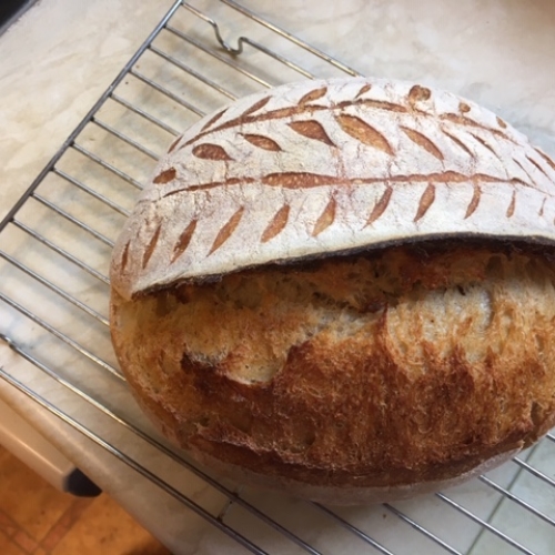 Treddafydd Organic Sourdough Bread Beginner Kit