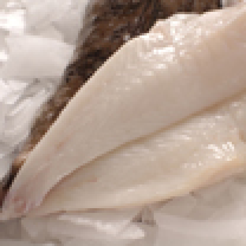 MONKFISH - FILLET