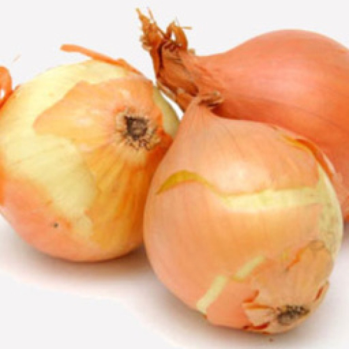 ORGANIC 1.2k ONIONS