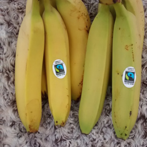 ORGANIC & FAIRTRADE 500g BANANAS