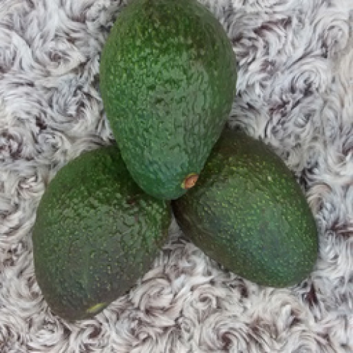 ORGANIC AVOCADO