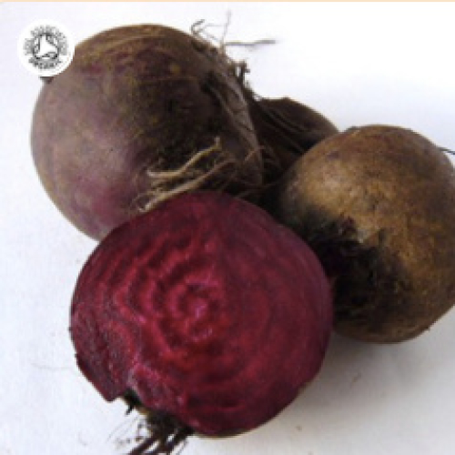 500g BEETROOT ORGANIC