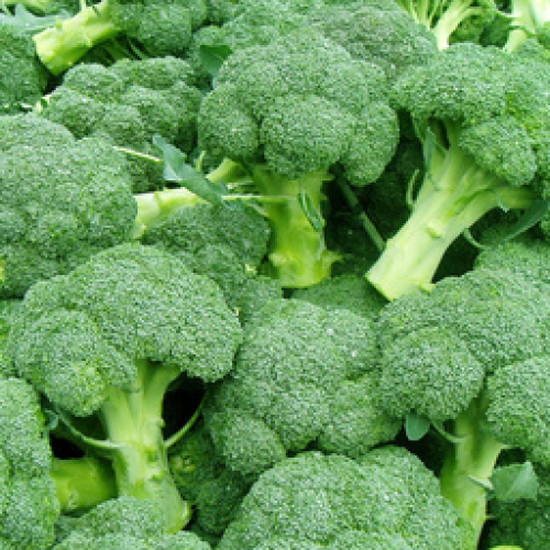 ORGANIC BROCCOLI, 600g.