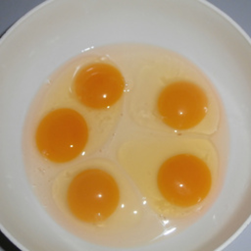 ORGANIC EGGS.