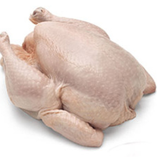 WHOLE ORGANIC CHICKEN