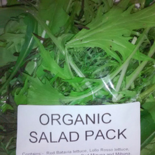ORGANIC MIXED SALAD BAG
