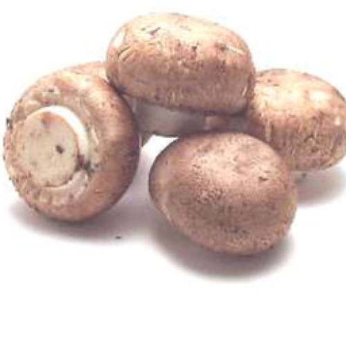 ORGANIC MUSHROOMS
