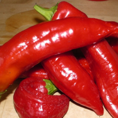 ORGANIC RED ROMANO PEPPER