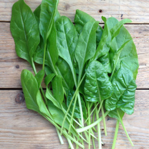 ORGANIC SPINACH