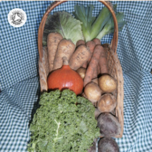 ORGANIC LARGE VARIETY VEGETABLE BOX